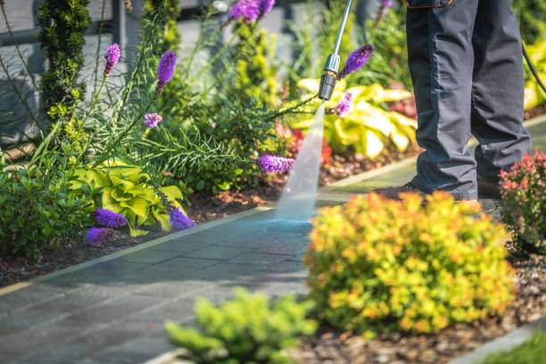 Best Gutter Cleaning and Brightening in Hardinsburg, KY